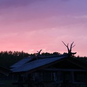 Осенний ценопад в ТРК Попов луг