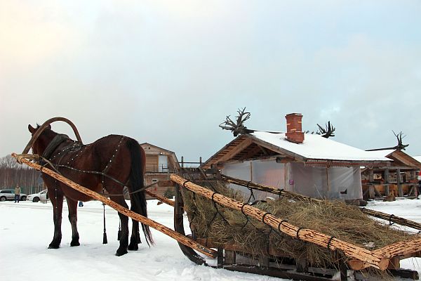 Сани