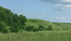 200