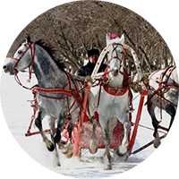 Новогодние корпоративы